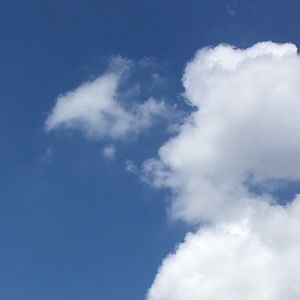 Meet your Posher, Aisha